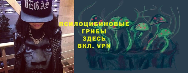 a pvp Новодвинск