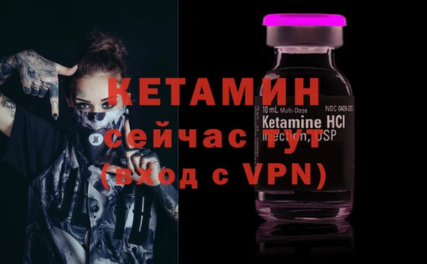 a pvp Новодвинск