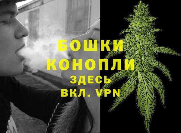 ECSTASY Няндома