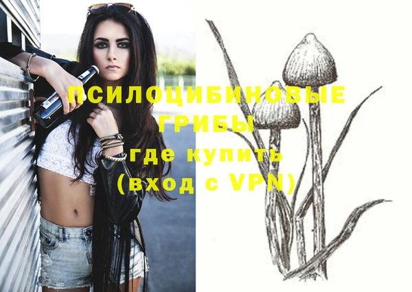 марки nbome Новозыбков
