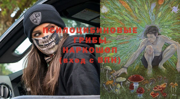 a pvp Новодвинск