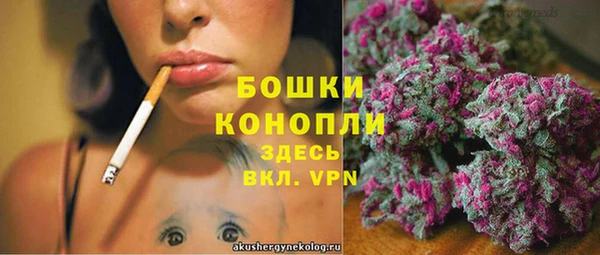 a pvp Новодвинск