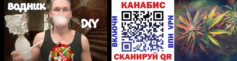 Бошки марихуана планчик  Купить  Чаплыгин 